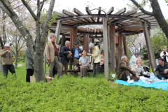 2015_hanami_23