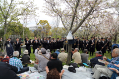 2015_hanami_27