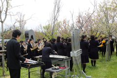 2015_hanami_34