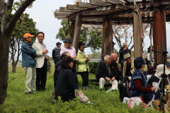 2015_hanami_41