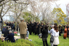 2015_hanami_42