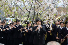 2015_hanami_43