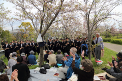 2015_hanami_45