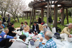 2015_hanami_52