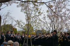 2015_hanami_57